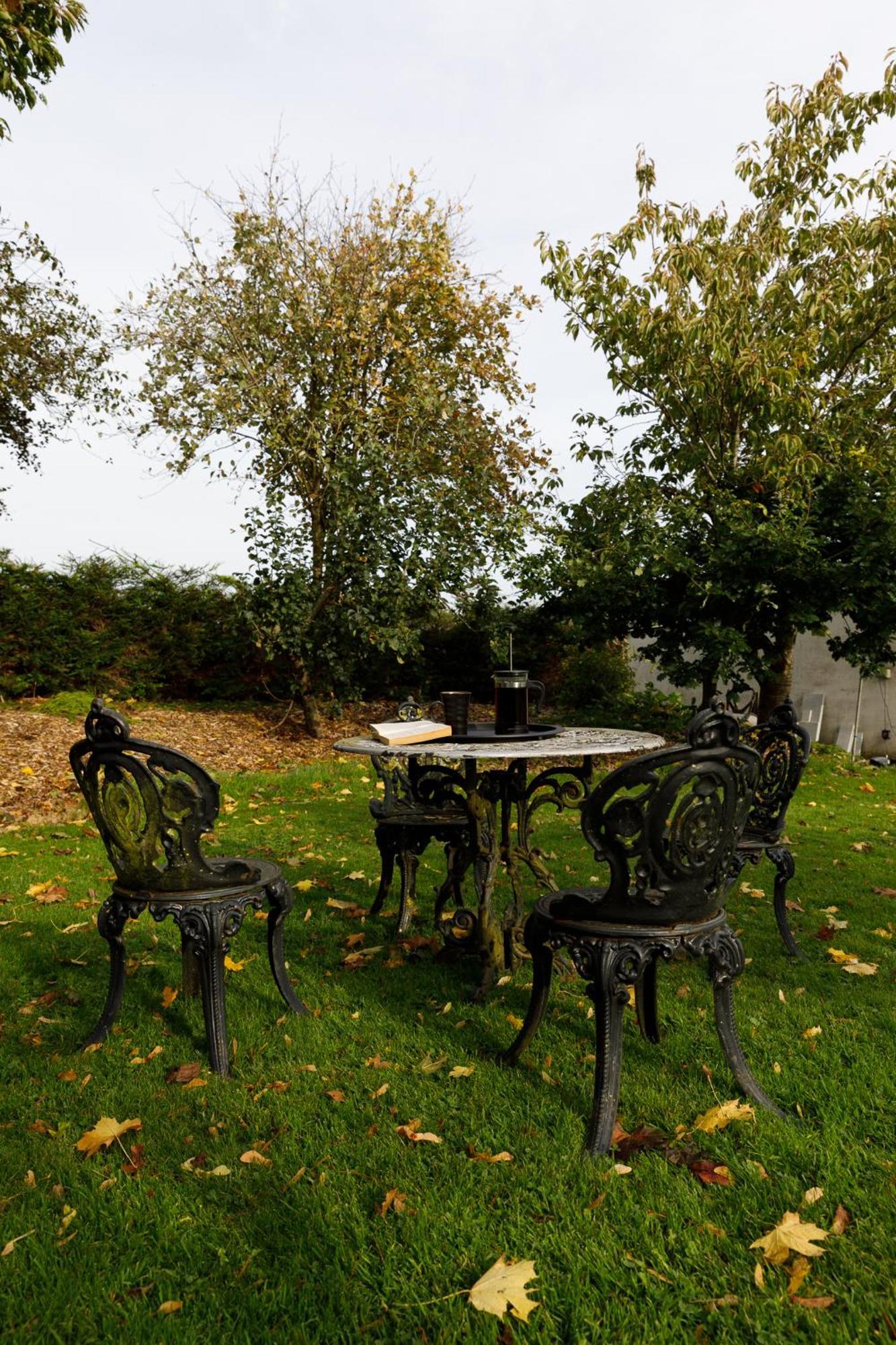 פורטרלינגטון Oak House Laois B&B מראה חיצוני תמונה