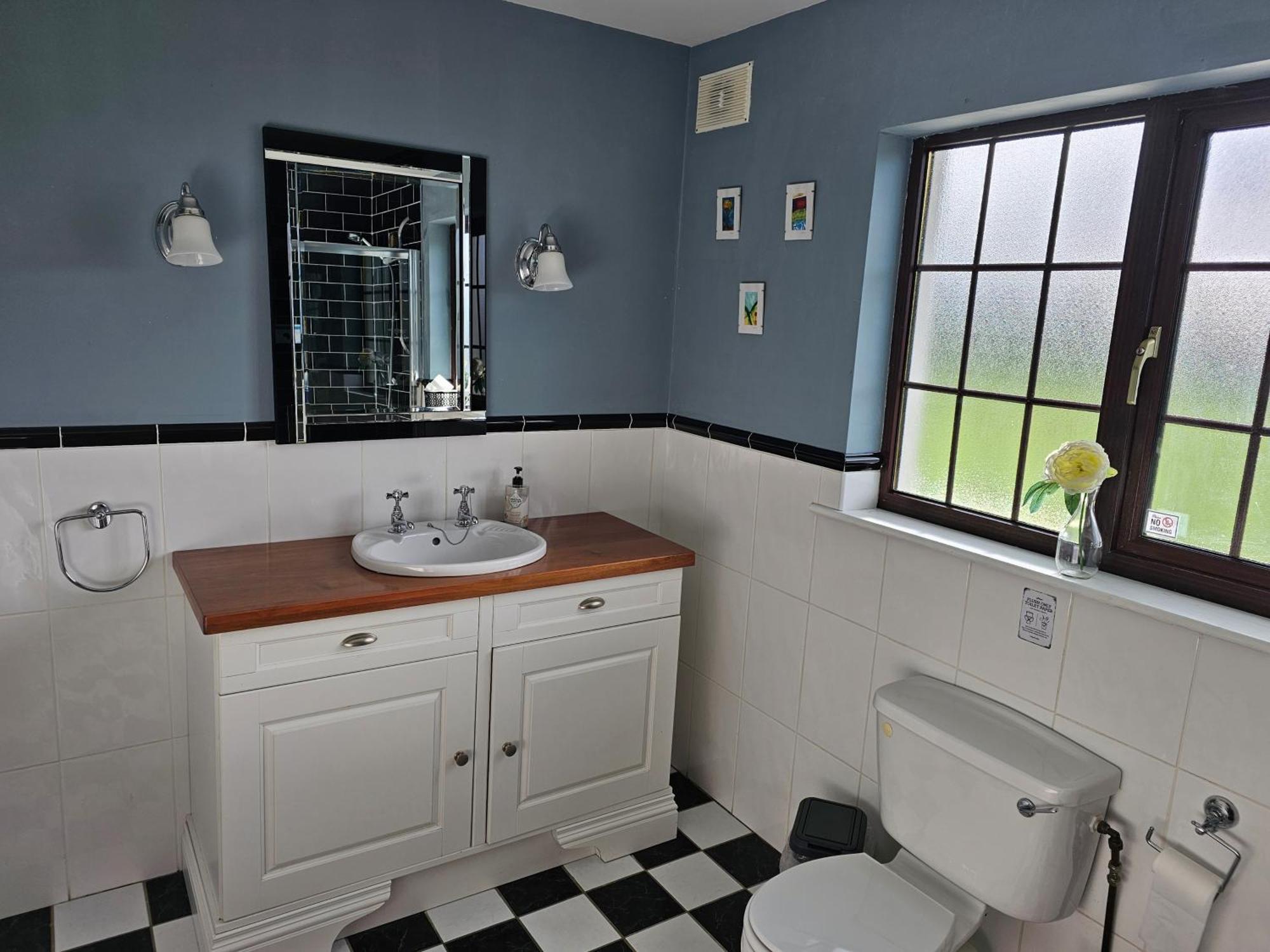 פורטרלינגטון Oak House Laois B&B מראה חיצוני תמונה
